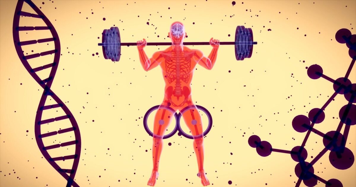 a picture of a man lifting a barbell